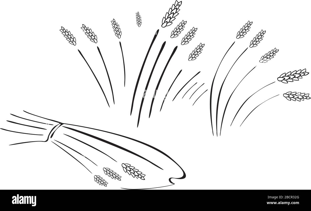 oreilles mûres de seigle Illustration de Vecteur