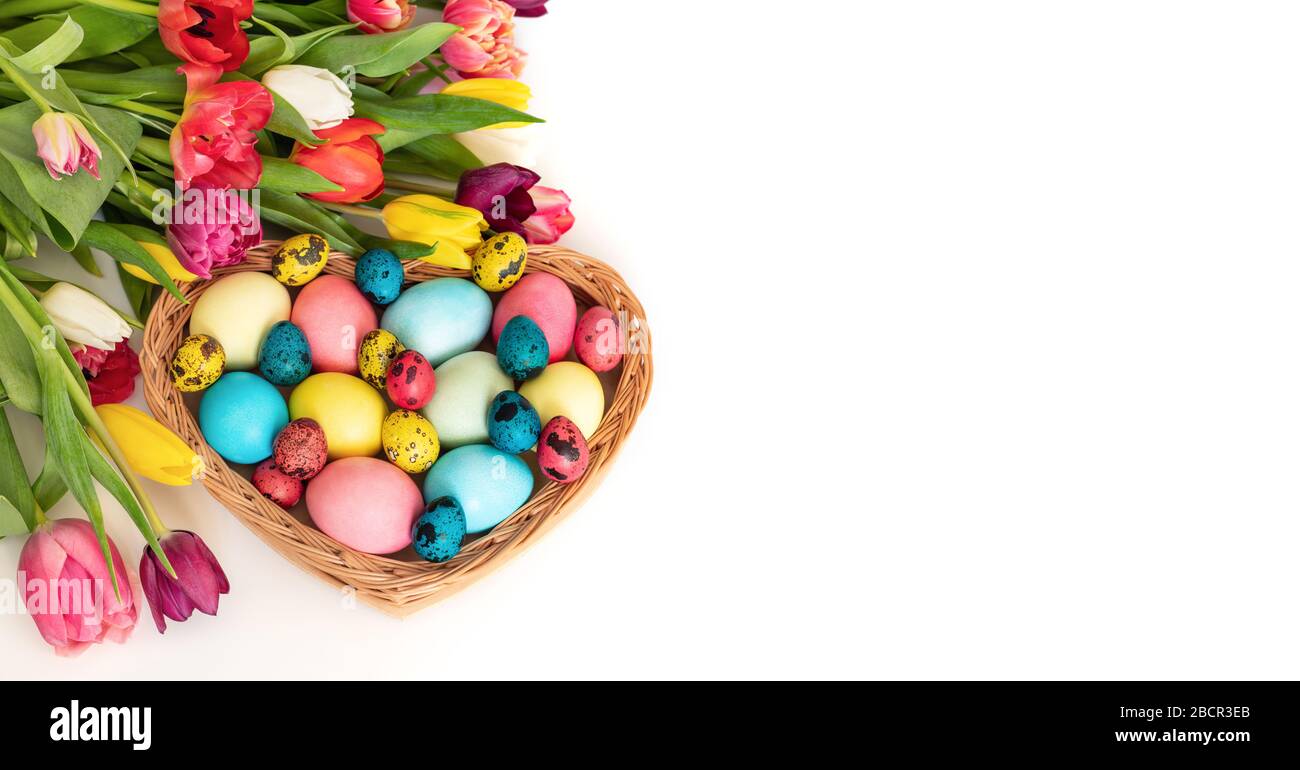 Joyeuses Pâques concept. Oeufs de Pâques dans un panier avec un bouquet de tulipes sur fond blanc. Espace de copie. Banque D'Images