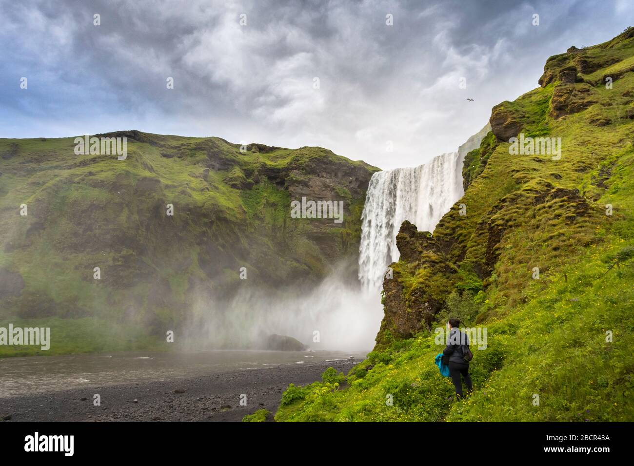 Fille debout à côté de la cascade de Skógafoss en Islande Banque D'Images