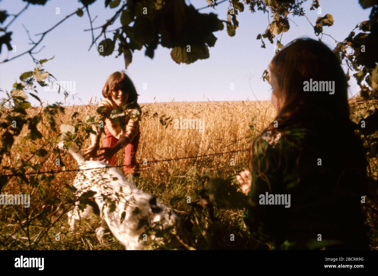 Jeunes enfants heureux jouant avec un chien dans un champ, Somerset campagne UK 1974 Banque D'Images