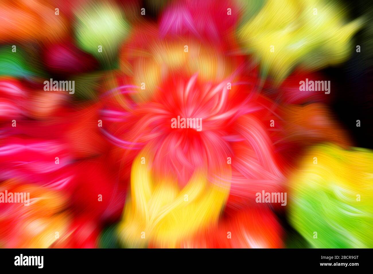 Arrière-plan abstrait des poivrons de capot Scotch dans une variété de couleurs Banque D'Images