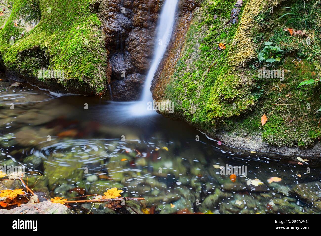 Belle chute d'eau de Susara en automne, montagnes d'Anina, Roumanie Banque D'Images