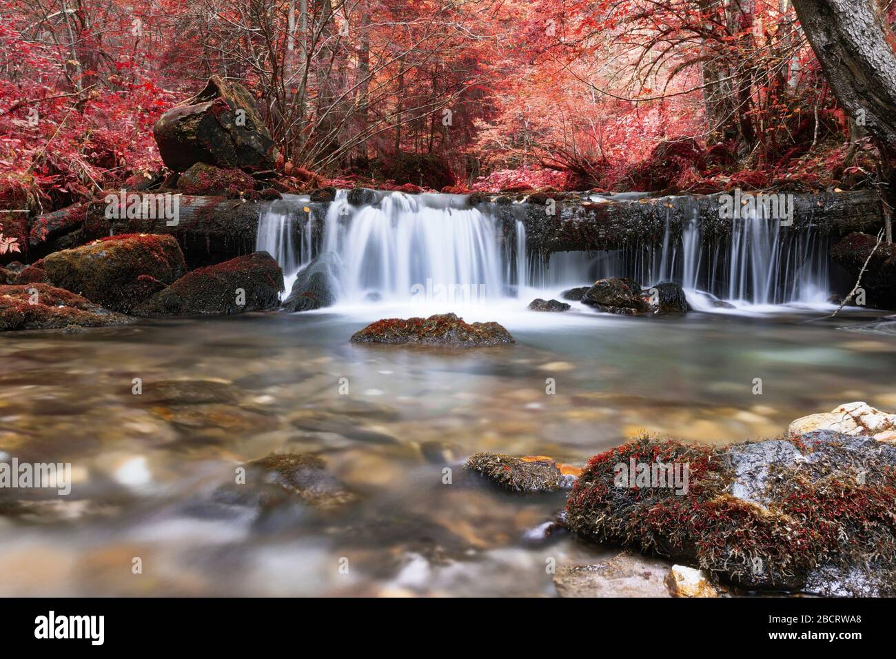 Belle chute d'eau dans les montagnes d'Apuseni, Roumanie, image prise en automne saison Banque D'Images