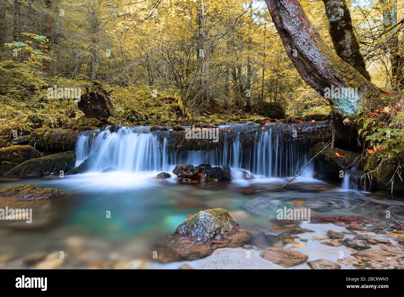 gros plan de la belle cascade en automne, image prise près de Rachitele, Roumanie Banque D'Images