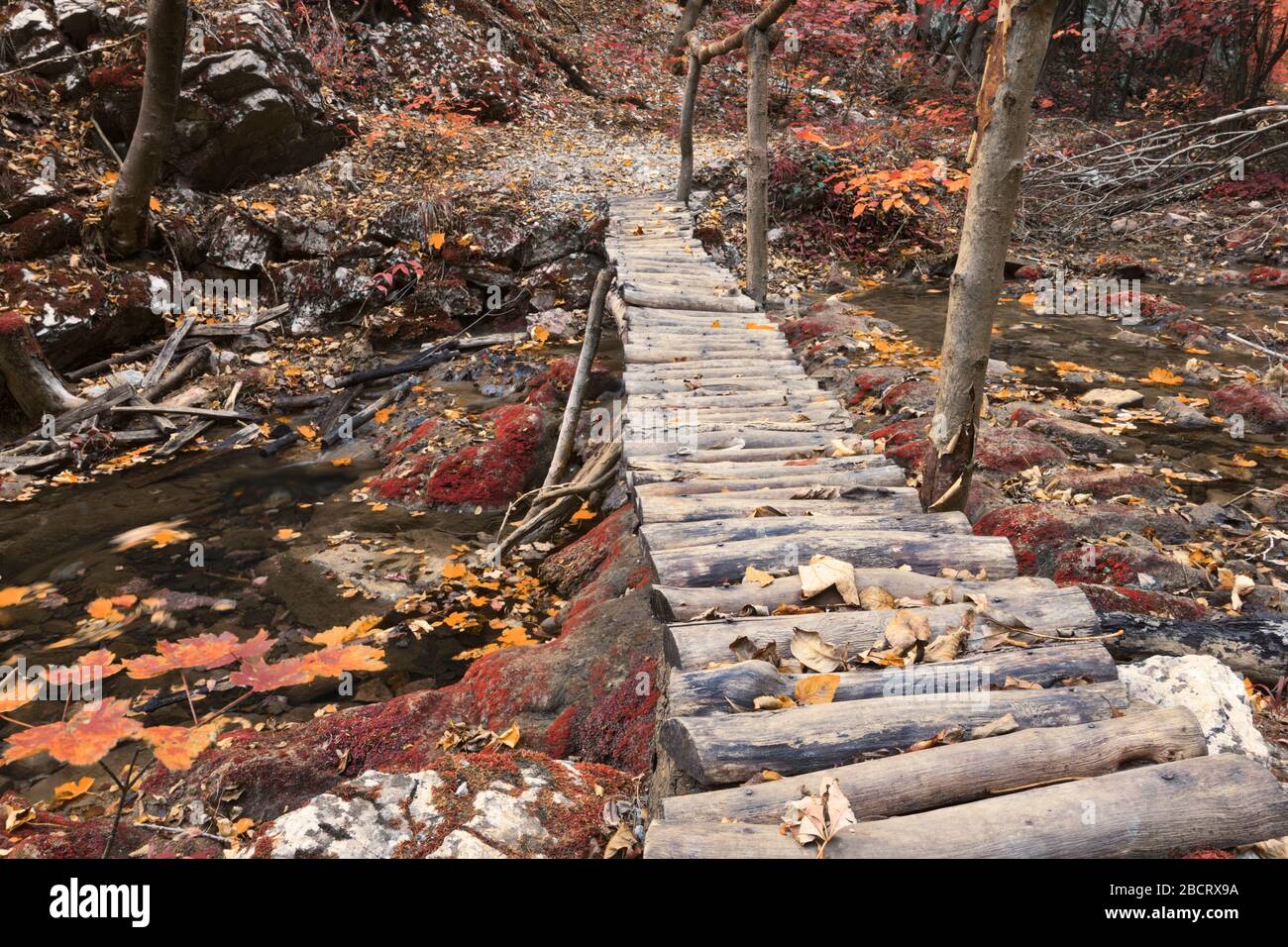 Passerelle dans le parc national Cheile Nerei, Roumanie Banque D'Images