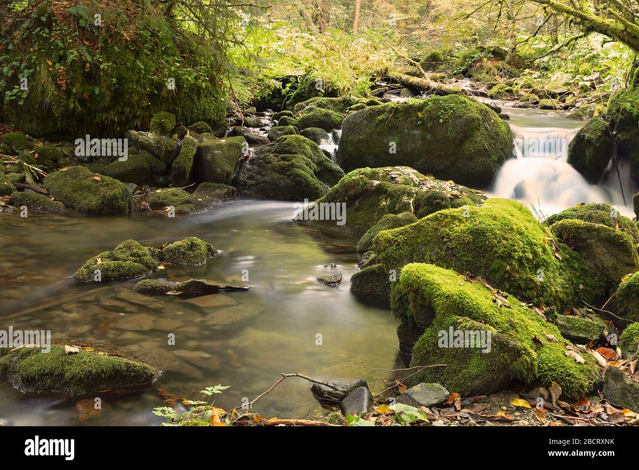 Ruisseau de montagne traversant les pierres de mousse, Rachitele, Roumanie Banque D'Images