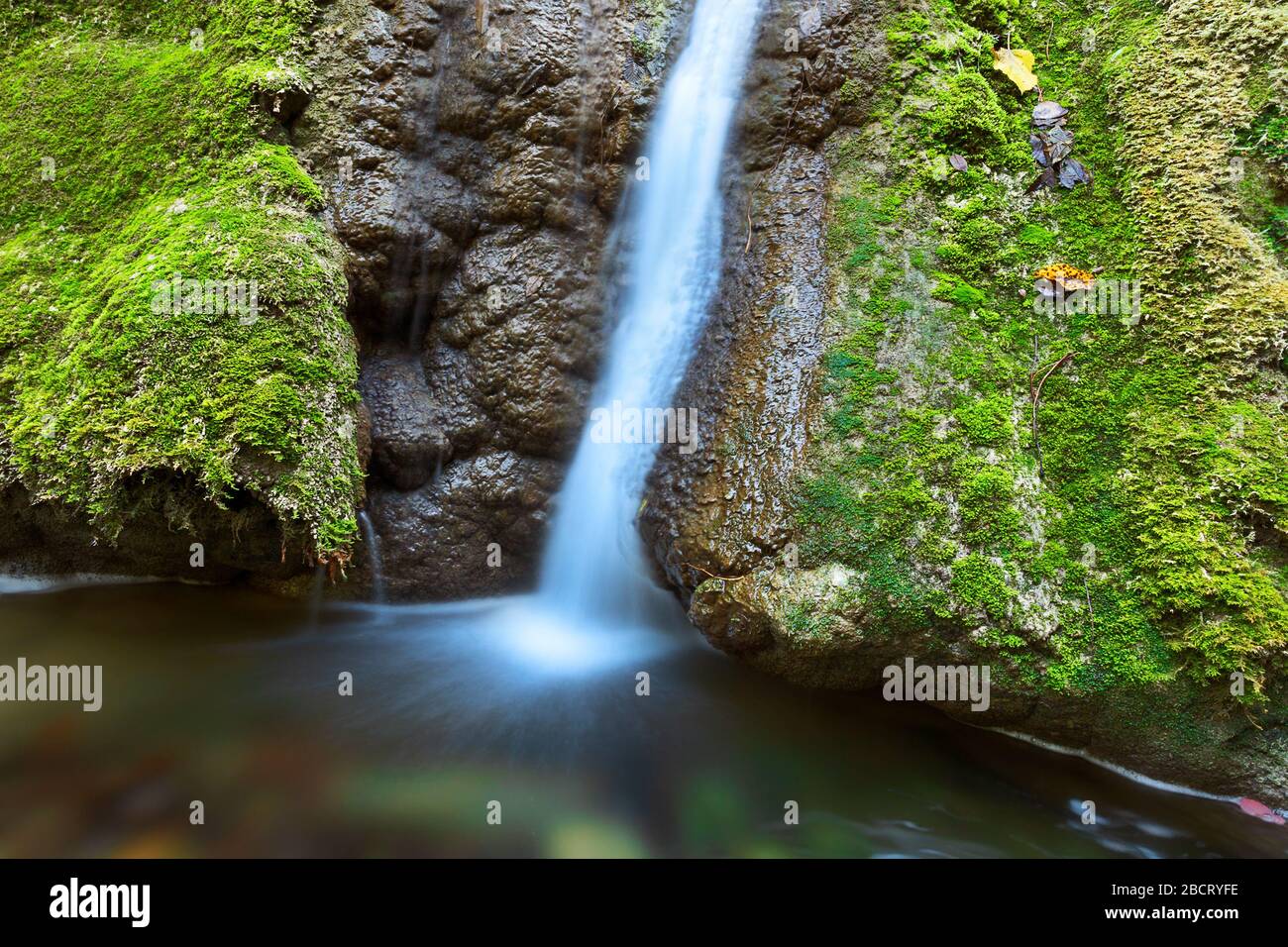 gros plan de la cascade de susara en automne, Caransebes, Roumanie Banque D'Images