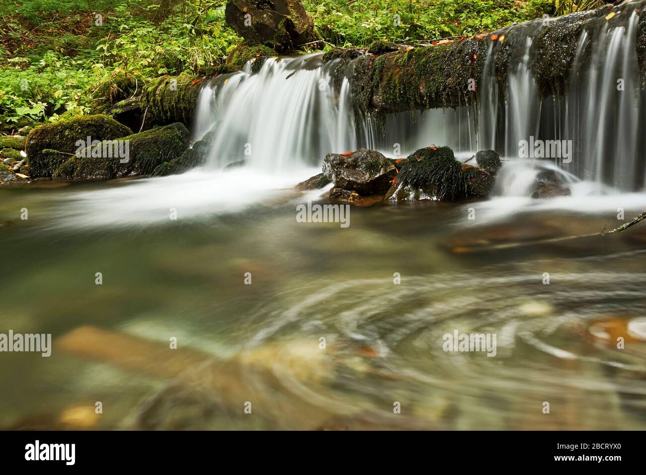 Chute d'eau sur le ruisseau de montagne, Parc national d'Apuseni, Roumanie Banque D'Images