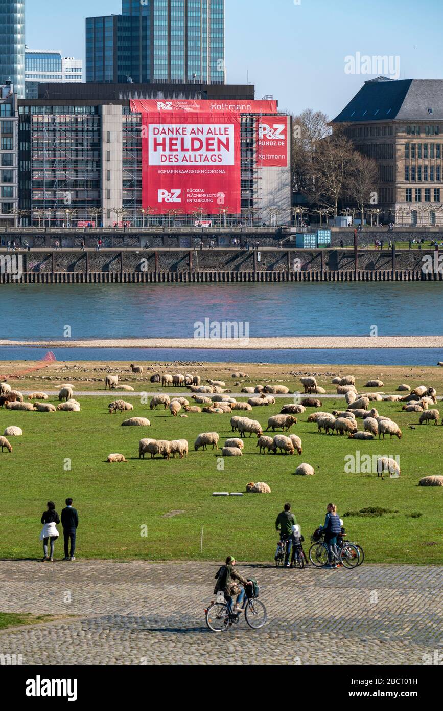 Une entreprise de construction a accroché une grande affiche sur la promenade du Rhin, grâce aux héros de la vie quotidienne, sur la façade d'une maison, DŸsseldor Banque D'Images