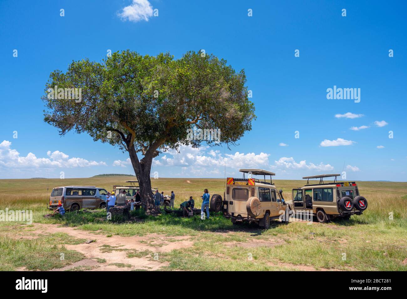 Safari véhicules et personnes ayant un pique-nique déjeuner sous un arbre, Mara Triangle, Masai Mara National Reserve, Kenya, Afrique Banque D'Images