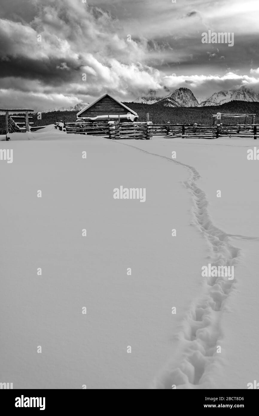 Hiver froid jour avec une cabine en rondins qui a des pistes menant à lui Banque D'Images