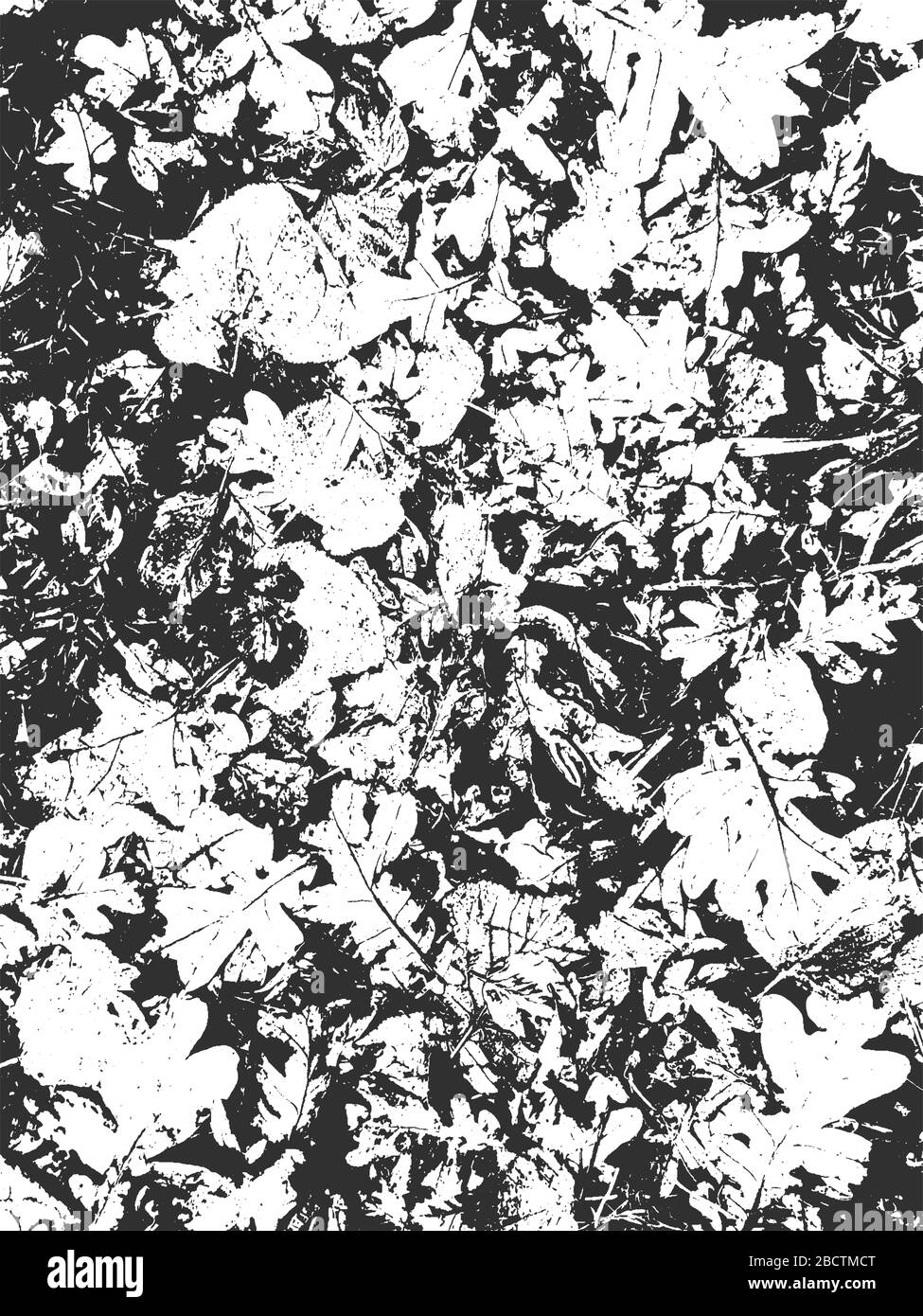 Feuilles de l'arbre de détresse, texture de la brochure. Fond gris noir et blanc. EPS8. Illustration vectorielle. Illustration de Vecteur