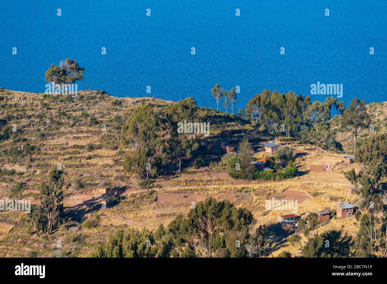 Campagne rurale sur la péninsule de Copacabana à une altitude d'environ 4 000 m, département la Paz, Bolivie, Amérique latine Banque D'Images