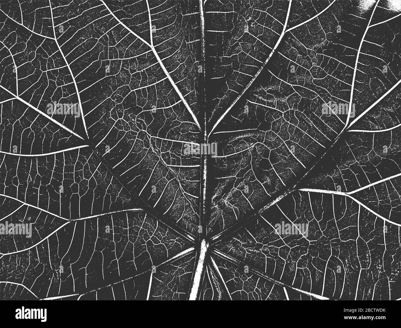 Feuilles de l'arbre de détresse, texture de la brochure. Fond gris noir et blanc. EPS8. Illustration vectorielle. Illustration de Vecteur