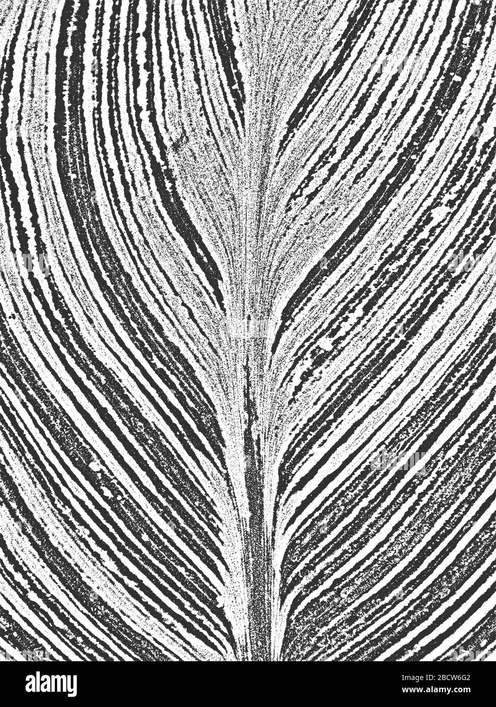 Feuilles de l'arbre de détresse, texture de la brochure. Fond gris noir et blanc. EPS8. Illustration vectorielle. Illustration de Vecteur