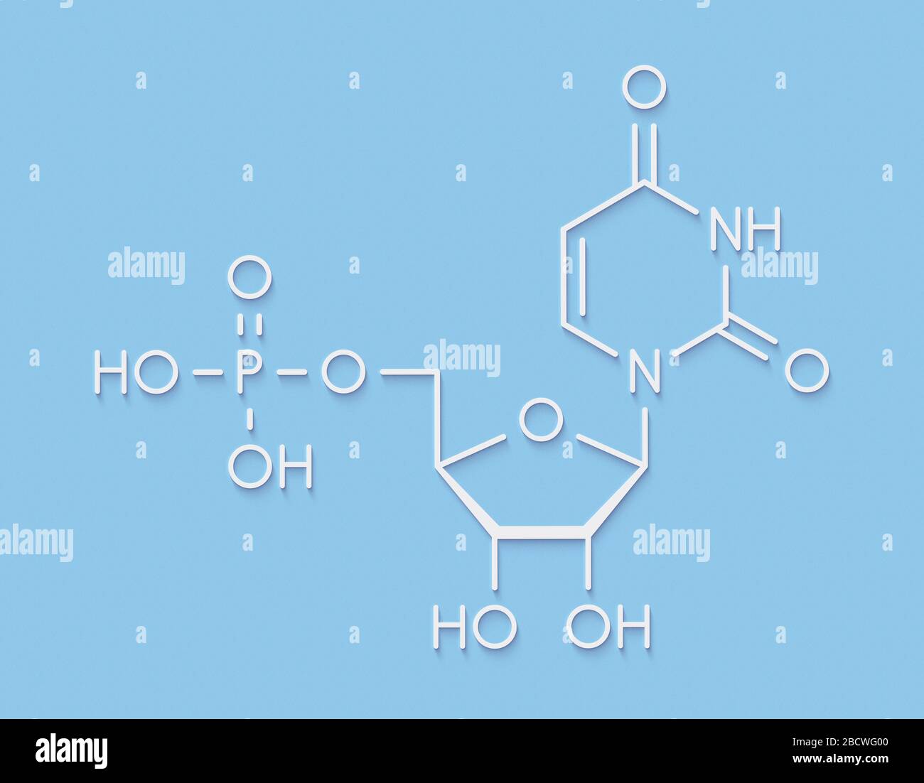 Molécule de nucléotides uridine monophosphate (UMP, acide uridylique). Bloc de construction de l'ARN. Formule du squelette. Banque D'Images
