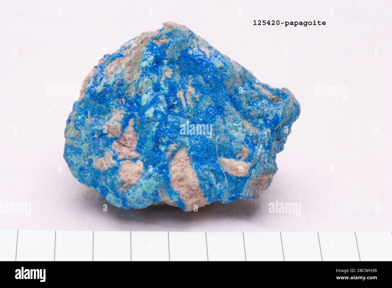 Papamagoite. 2 juillet 201633701 Papagoite Banque D'Images