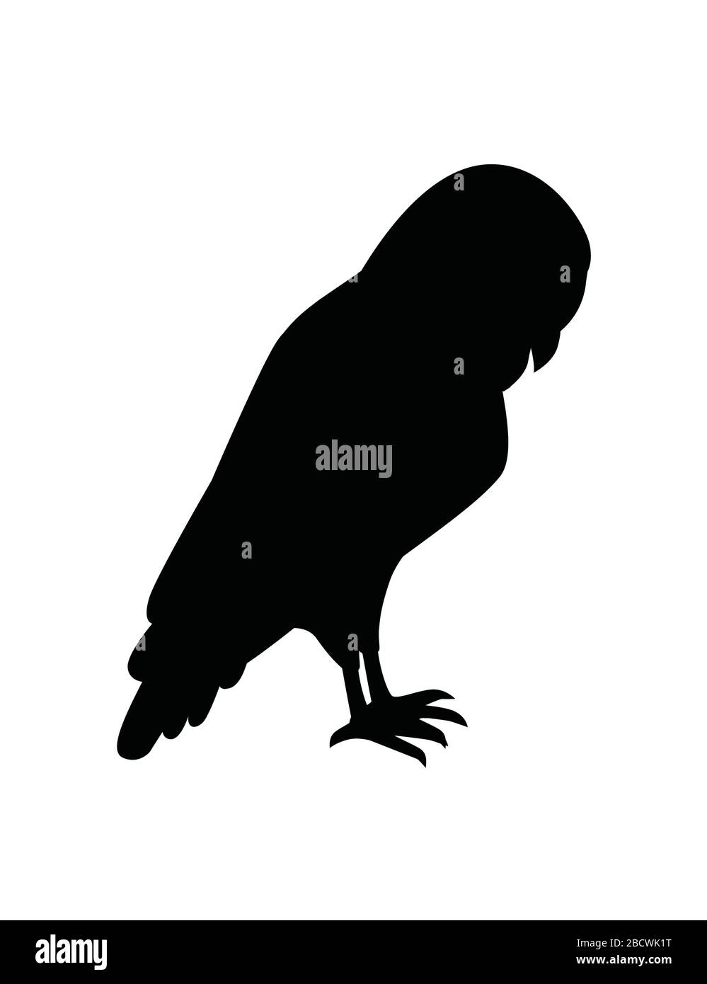 Silhouette noire jolie grange chouette (tyto alba) caricature forêt sauvage motif animal illustration vectorielle plate isolée sur fond blanc Illustration de Vecteur