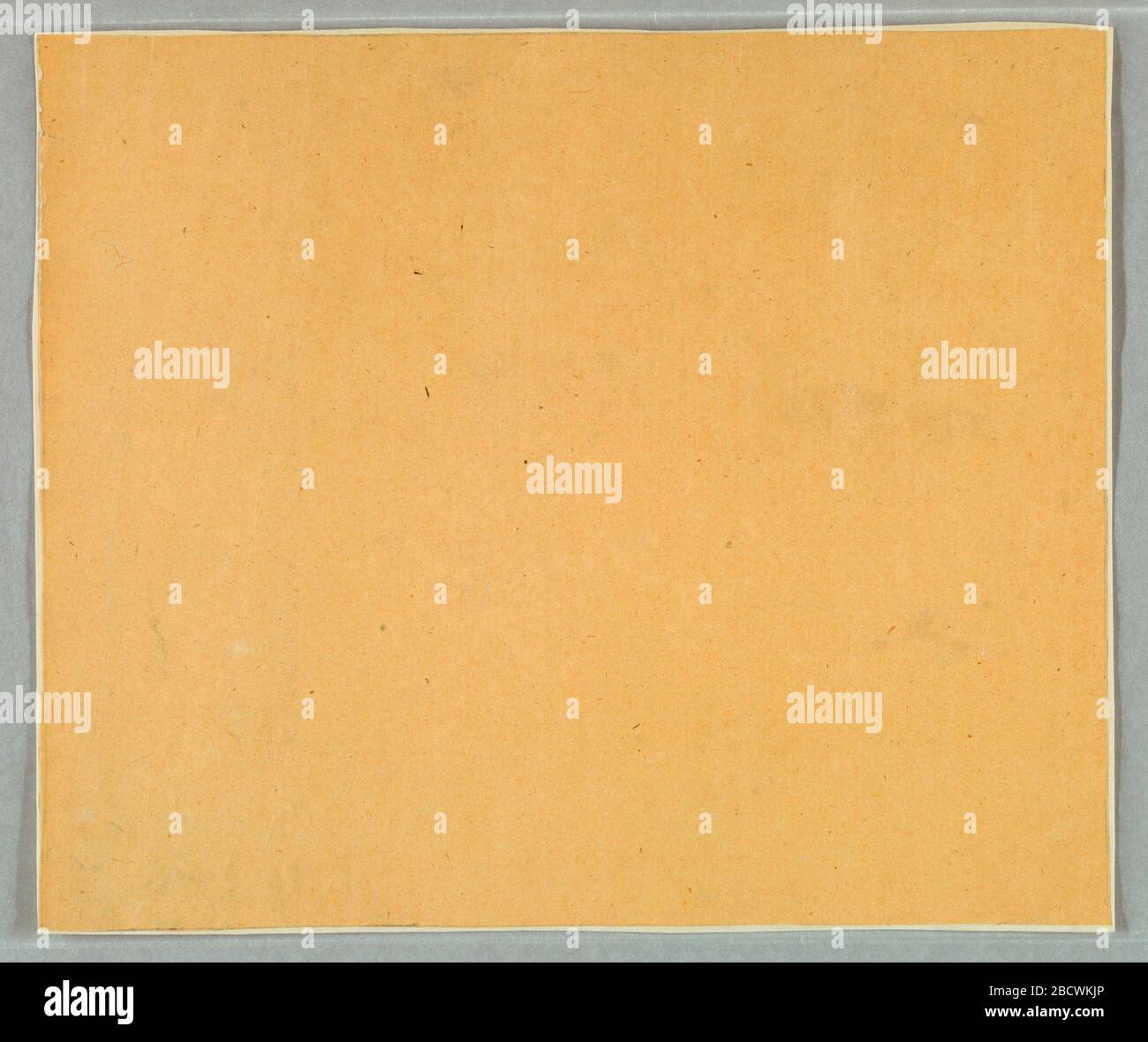 Flanc. Recherche sur le papier ProgressPlain, en couleur de maïs, sans ornement. Glacé. Flanc Banque D'Images