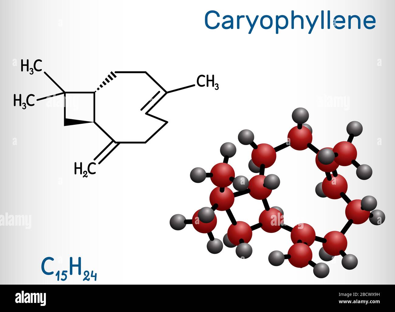 Caryophyllène, bêta-caryophyllène, molécule de Ca-24. C'est le sesquiterpène bicyclique naturel qui est un constituant de nombreuses huiles essentielles. structure chem Illustration de Vecteur