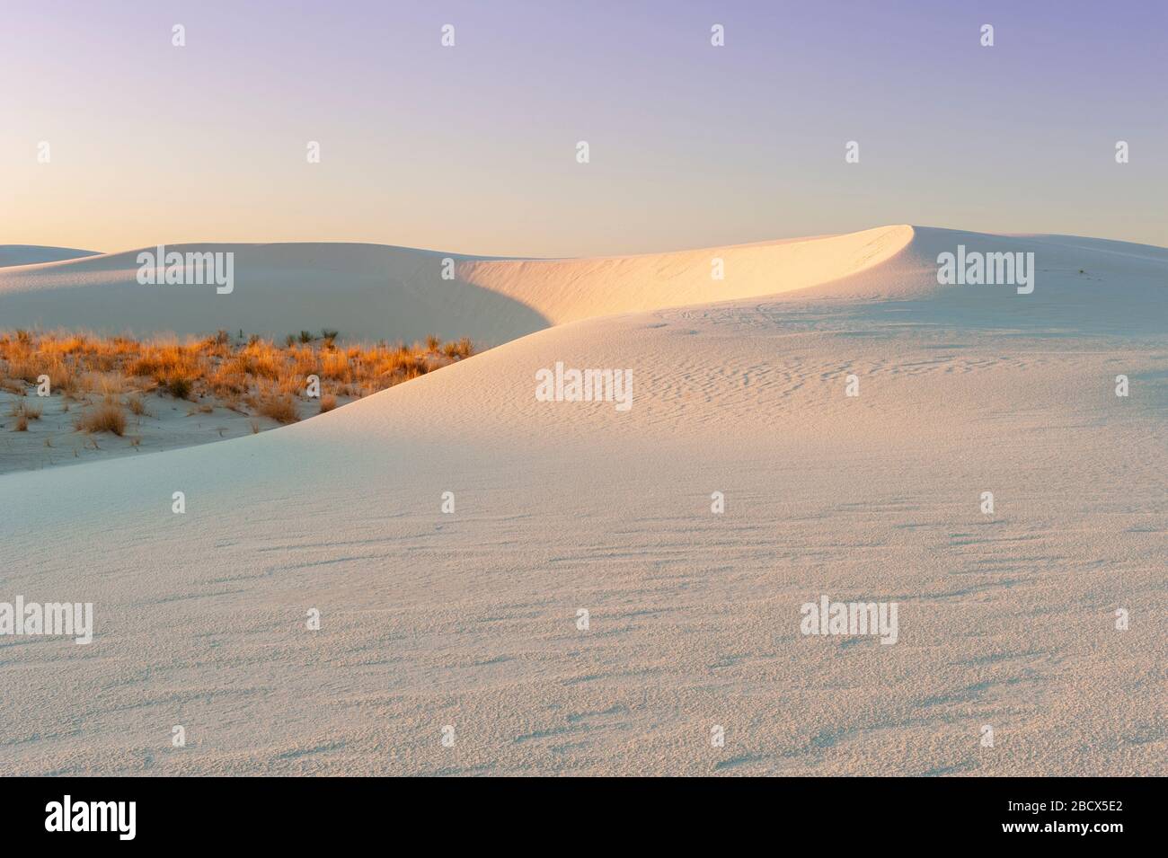 Nouveau Mexique paysage, formations de gypse, herbage, White Sands National Monument, White Sands National Park, Nouveau Mexique, NM, États-Unis. Banque D'Images