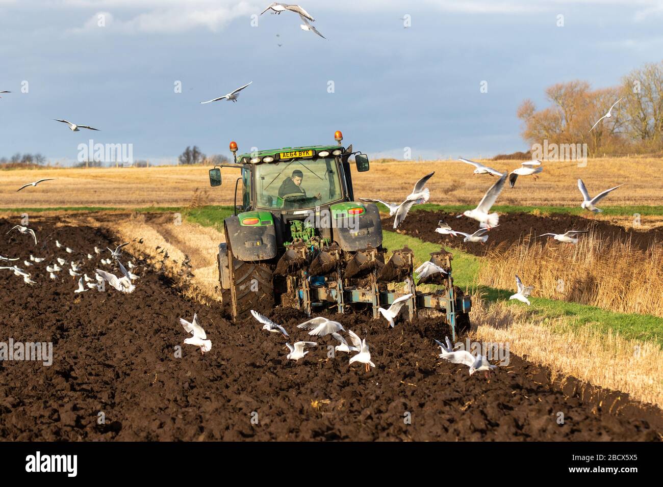 Labourage et récupération des goules de tracteur John Deere Banque D'Images