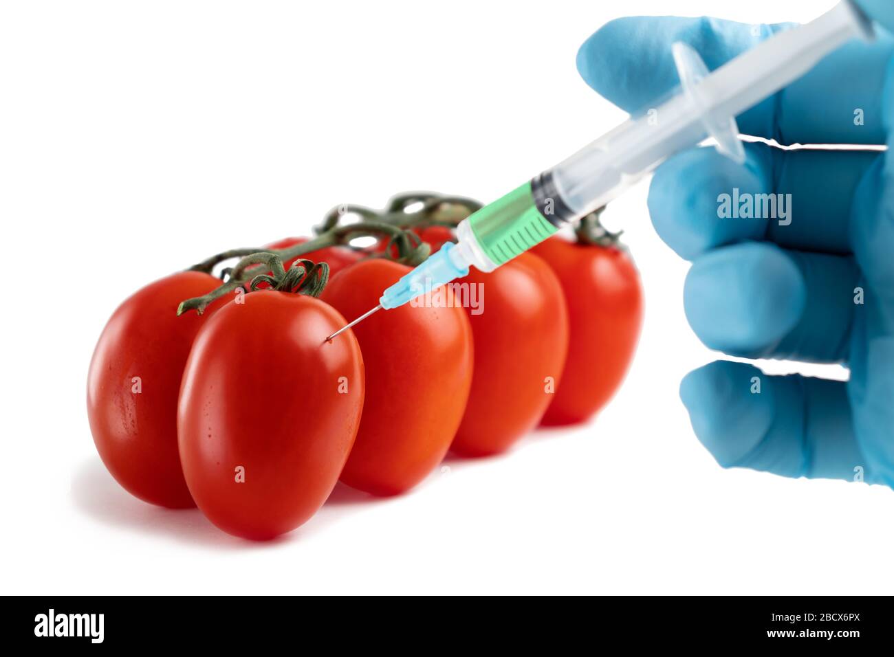 Concept d'aliments et de produits chimiques OGM dans les légumes. La main dans un gant fait une injection avec une seringue avec une solution de tomate mûre Banque D'Images