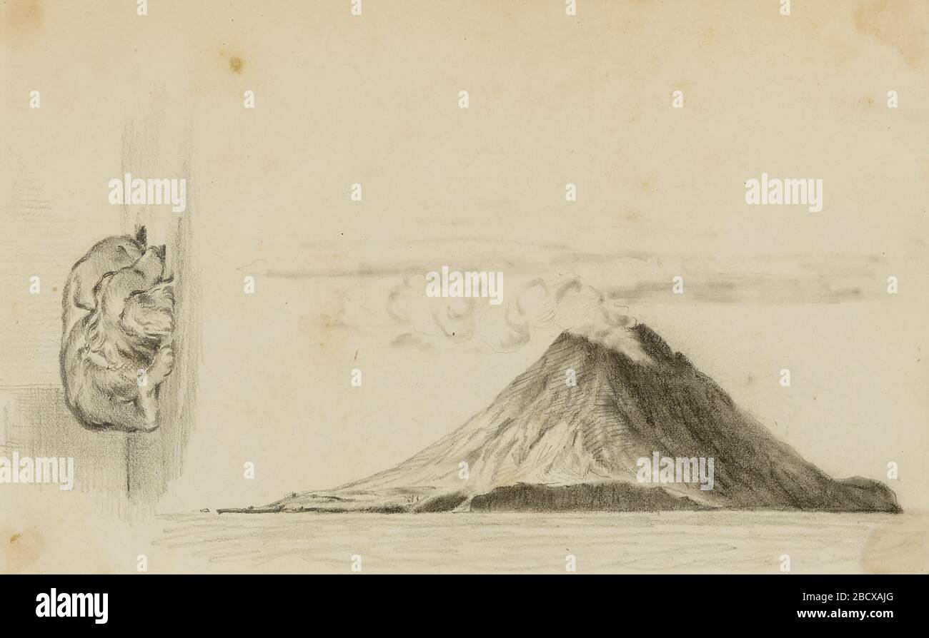 StromboliSleeping Dog. StromboliSleeping Dog Banque D'Images