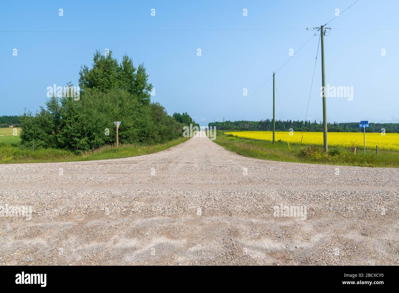 Les routes en gravier se croisent près d'un champ de canola dans les régions rurales de l'Alberta, au Canada Banque D'Images