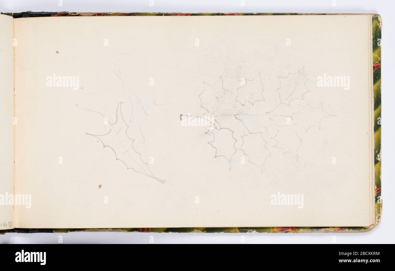 Feuilles de page de croquis. Recherche en ProgressAbove, branche avec feuilles, peut-être des feuilles de houx ou de chêne. Esquisse supplémentaire de lame, ci-dessous. Feuilles de page de croquis Banque D'Images