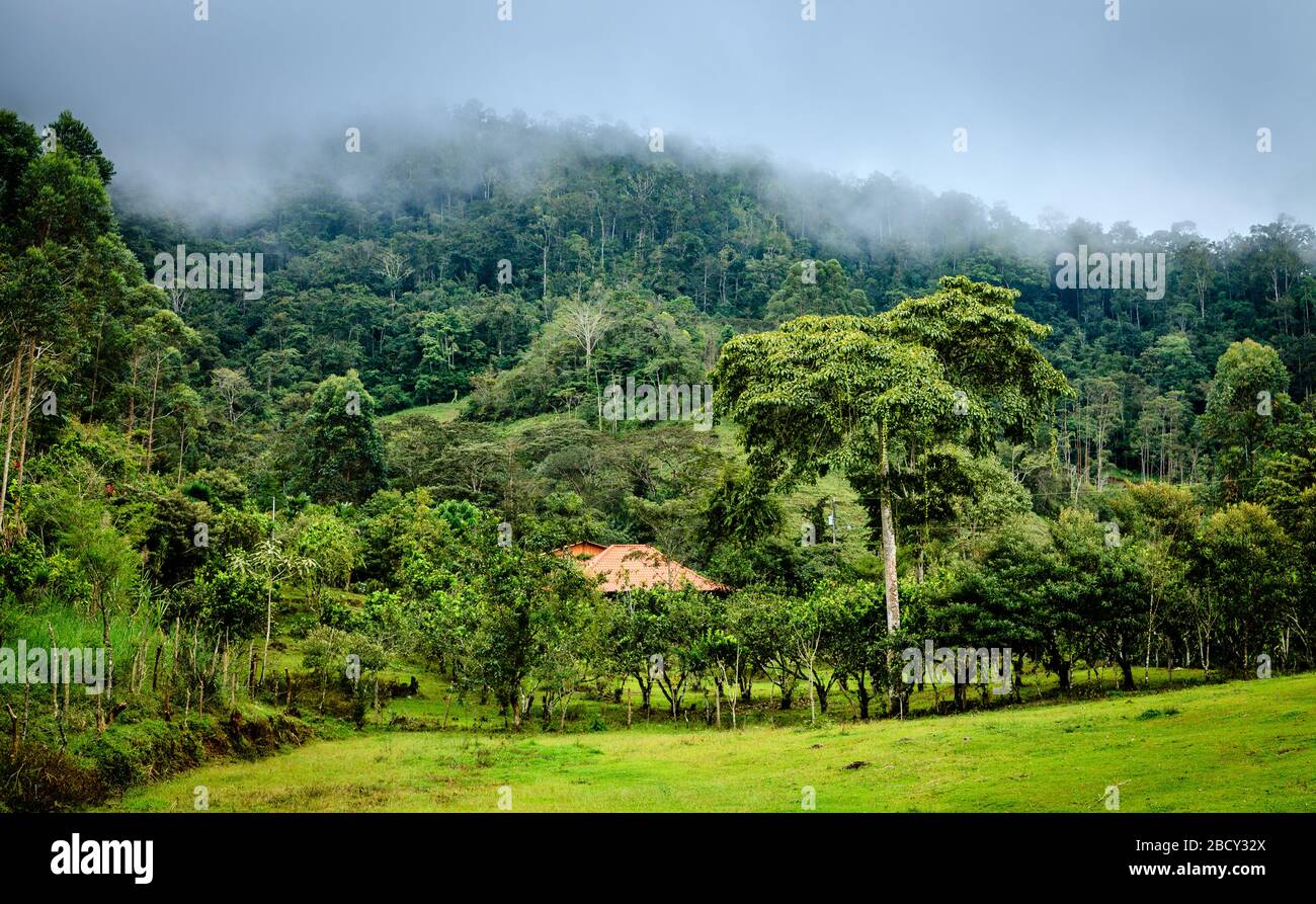 Ferme maison au pied d'une colline dans le centre du Costa Rica Banque D'Images