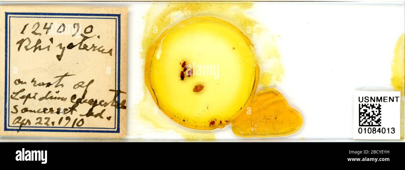 Forda non identifié. 13 janvier 20175 Forda non identifié Banque D'Images