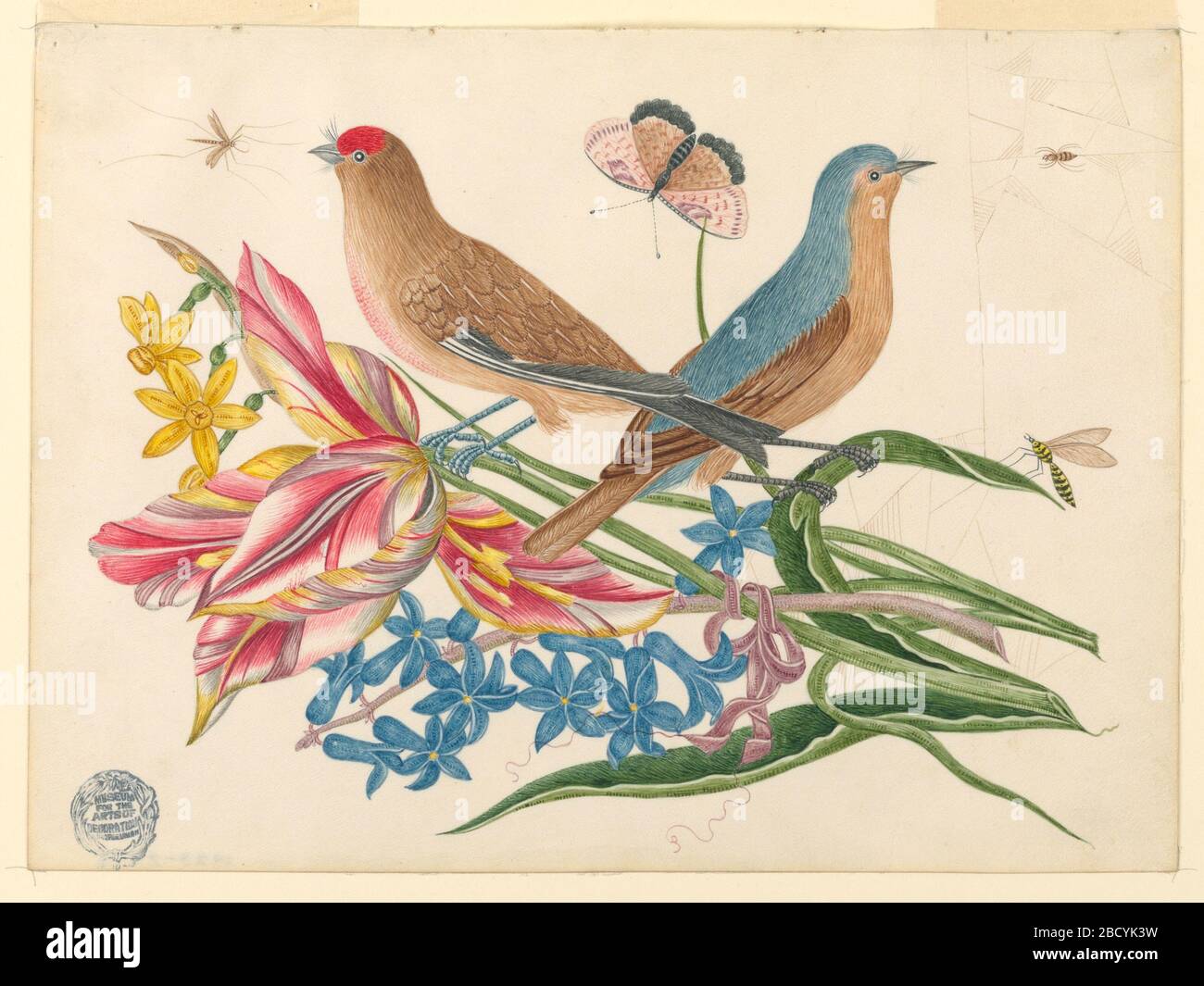 Deux oiseaux sur une branche de tulipes avec insectes. Recherche en ProgressTwo oiseaux sur une branche de tulipes avec insectes deux oiseaux sur une branche de tulipes avec insectes Banque D'Images