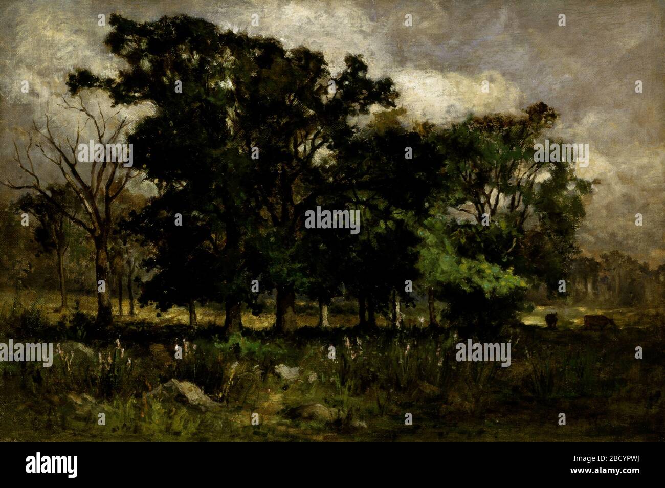 Paysage arborescent. Edward Banister était un chef de file de la culture africaine américaine de Boston au milieu du XIXe siècle. Banque D'Images