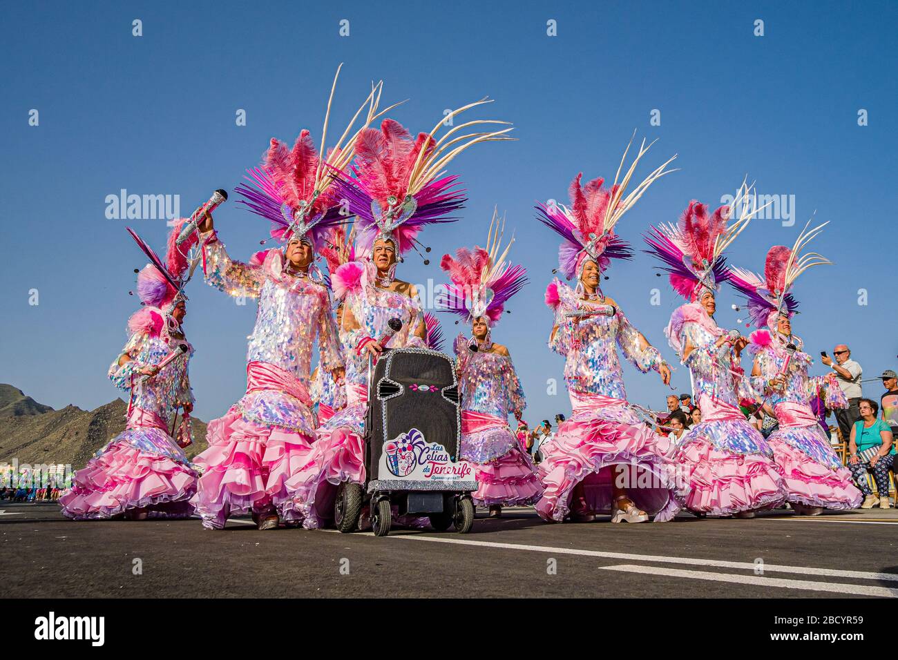 Las Celias de Tenerife, un groupe d'hommes rendant hommage à la chanteuse Celia Cruz, présentant leurs costumes lors de la Grande parade du Carnaval Banque D'Images
