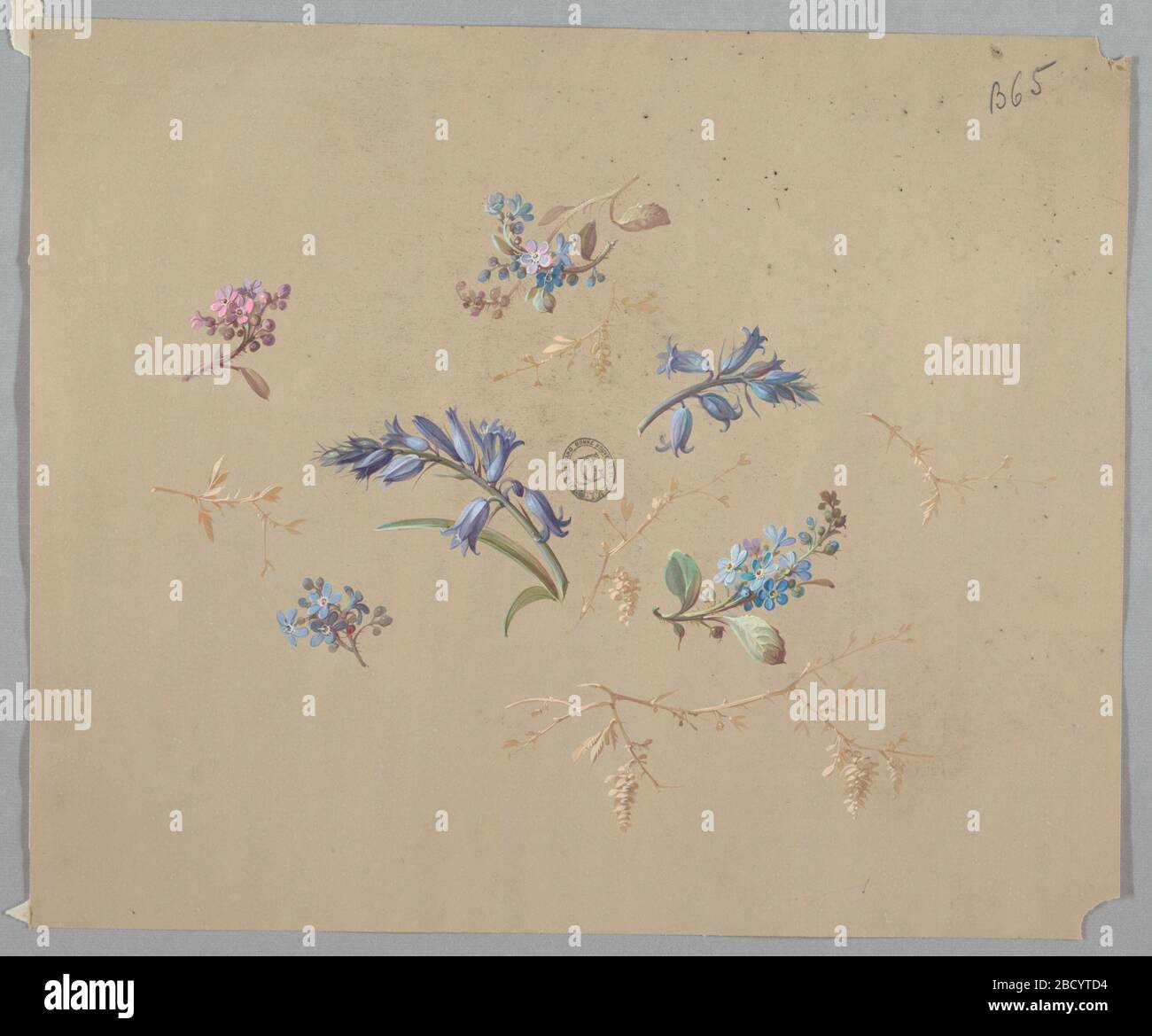 Dessins pour papier peint et textiles fleurs. Recherche dans les grappes ProgressSix de fleurs bleues et violettes de différents types avec tiges et feuilles dispersées au centre de la page. Sont également dispersées des tiges de beige de différentes tailles avec le feuillage de la même couleur. Dessins pour papier peint et textiles fleurs Banque D'Images