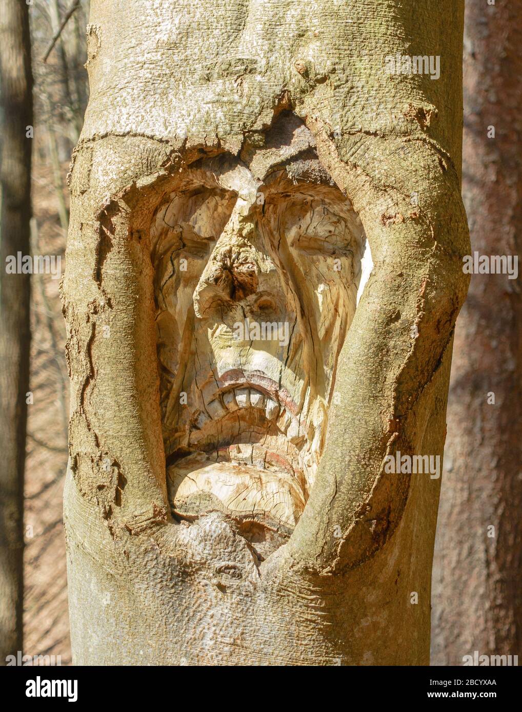 Grimace sculpté dans un arbre sur le sentier de randonnée Fratzenweg à Aichtal-Neuenhaus Banque D'Images