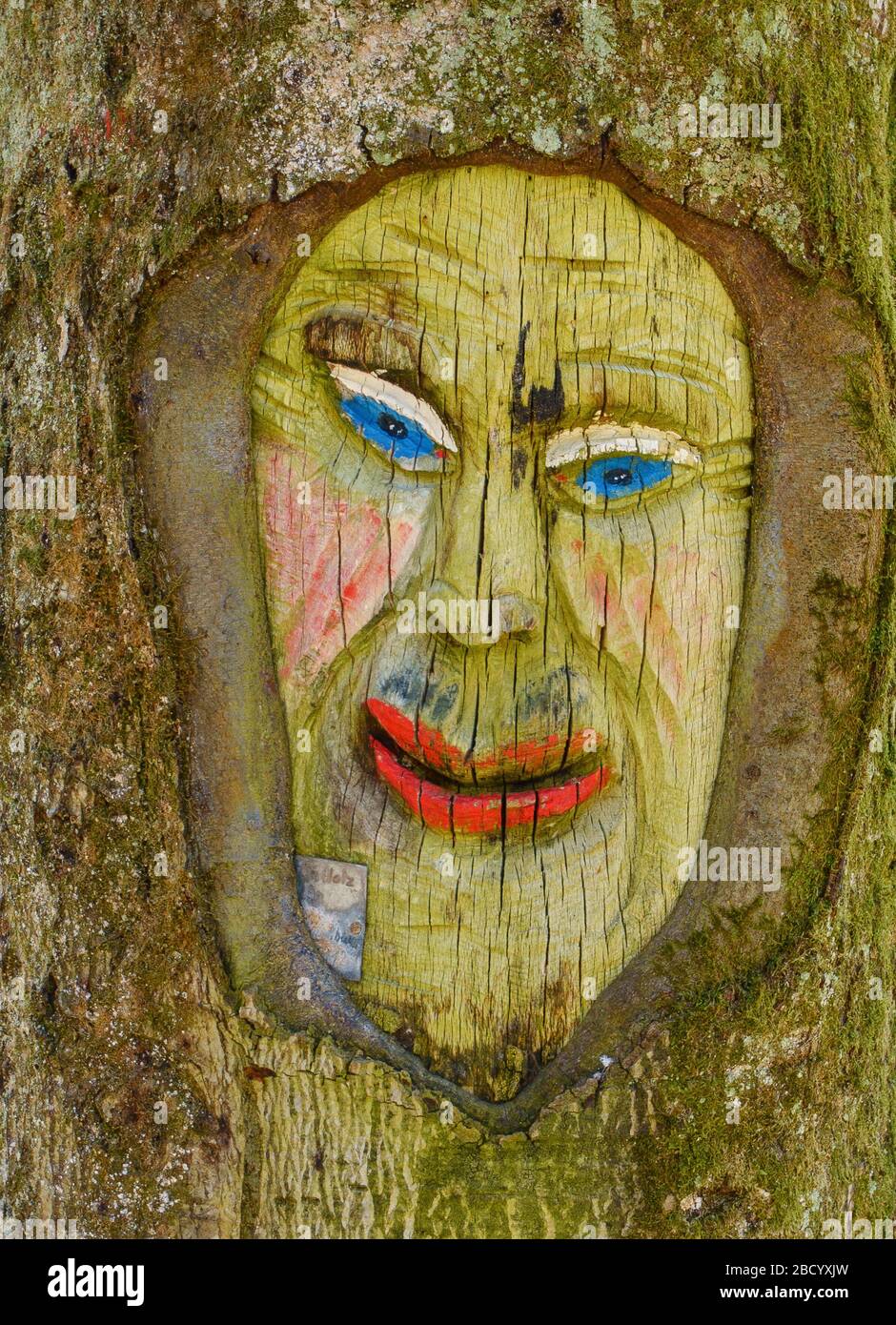 Grimace sculpté dans un arbre sur le sentier de randonnée Fratzenweg à Aichtal-Neuenhaus Banque D'Images