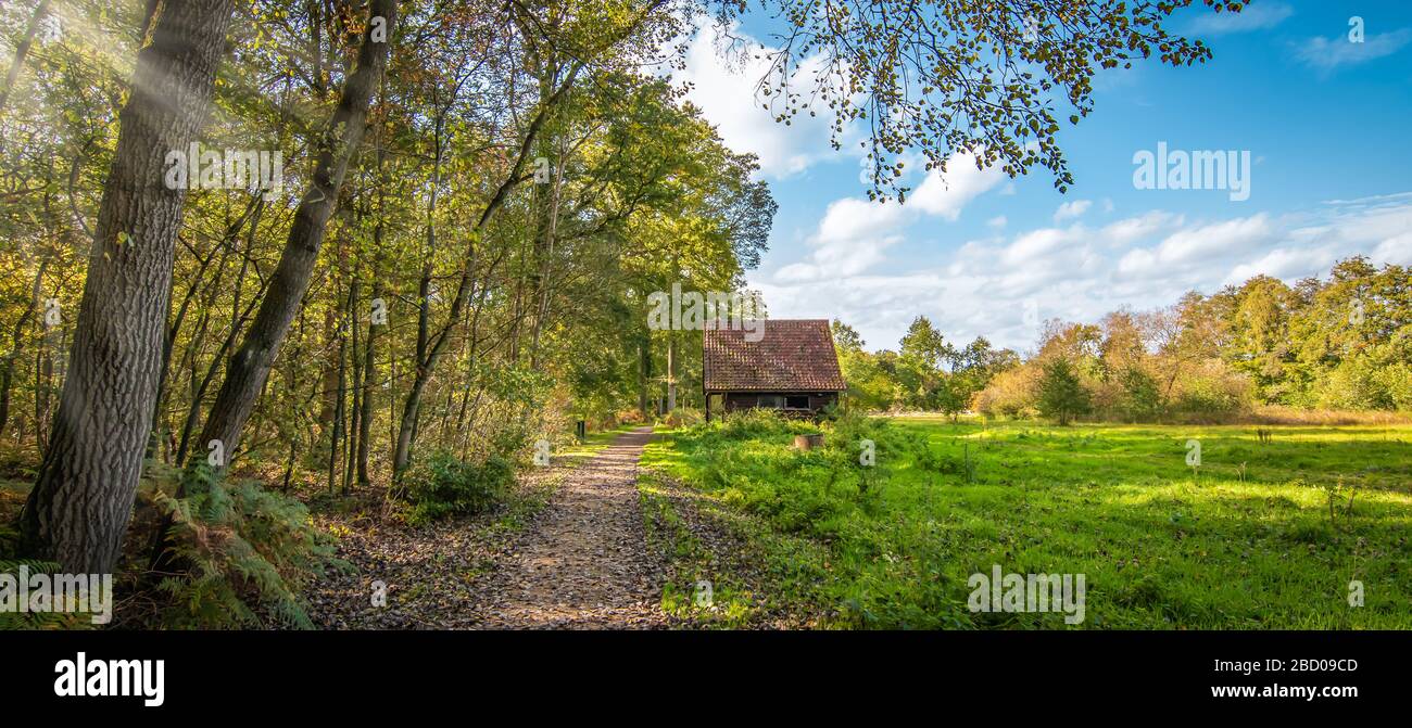 Ancienne écurie à côté d'un pré et d'un sentier forestier au bord d'une forêt en Belgique. Banque D'Images