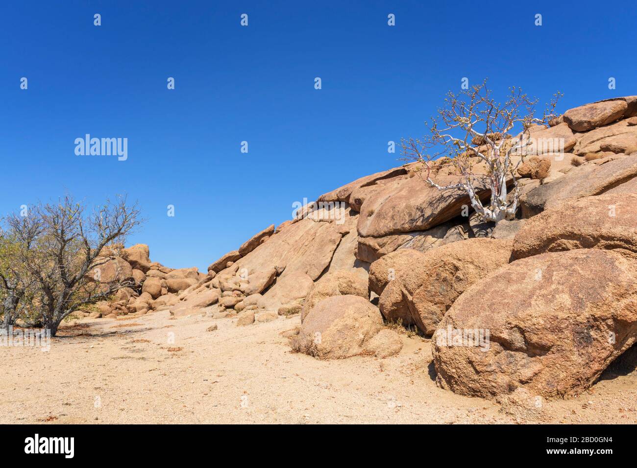 Végétation et formes rocheuses dans le désert, Damaraland, Namibie. Banque D'Images