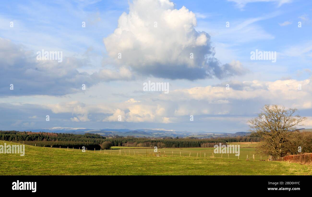 Vue sur la ferme écossaise avec la ville de Lockerbie dans la distance Banque D'Images