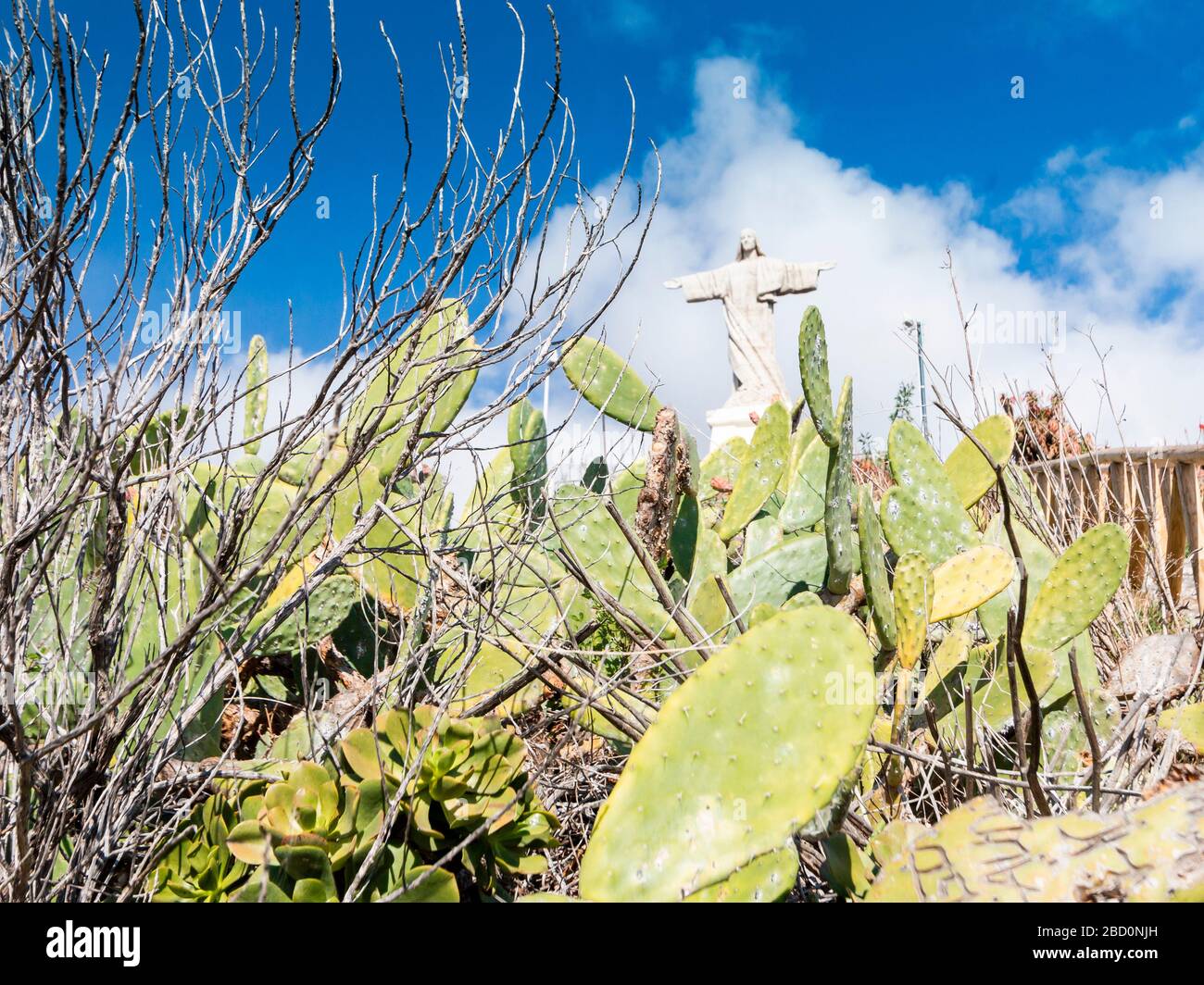 Cristo Rei derrière la flore et le cactus de Madère au point de vue touristique Ponta do Garajau, Funchal, Madère Banque D'Images Cristo Rei derrière la flore et le cactus de Madère au point de vue touristique Ponta do Garajau, Funchal, Madère Banque D'Images