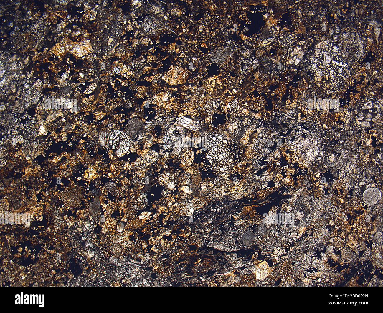 Nardoo no 1. 23 août 201820774561 Nardoo no 1 Banque D'Images