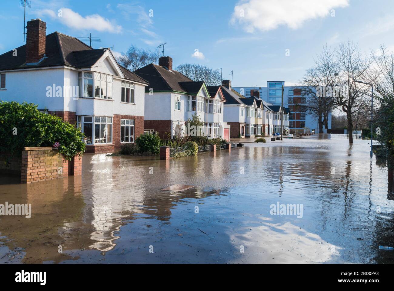 Grayfriars Avenue sous des niveaux record d'eau d'inondation de la tempête Dennis Hereford Herefordshire Royaume-Uni. Février 2020 Banque D'Images