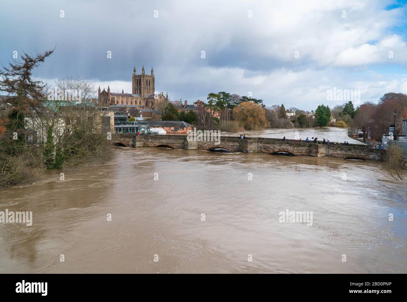 La cathédrale de Hereford surplombe le vieux pont et inondé la rivière Wye, déluge de la tempête Dennis, Hereford Herefordshire Royaume-Uni. Février 2020. Banque D'Images