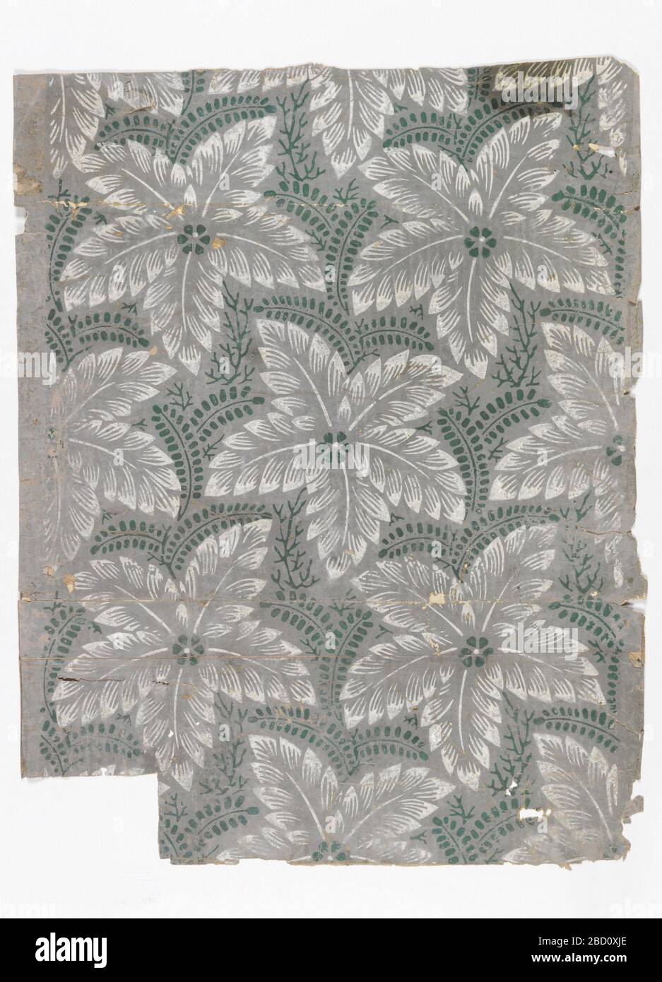 Flanc et étiquette. Recherche en ProgressLarge fleurs blanches avec centres verts, vaporisateurs verts de feuillage sur fond gris. Flanc et étiquette Banque D'Images