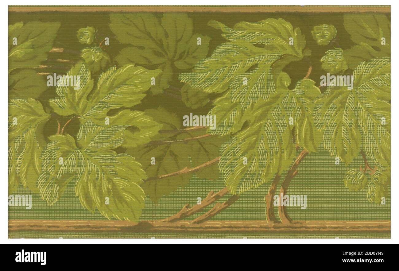 Bordure. La recherche sur le feuillage à l'échelle ProgressLarge croît à partir de la vigne qui longe le bord inférieur. Imprimé en ahdes de vert et de brun sur fond vert rayé. Bordure Banque D'Images