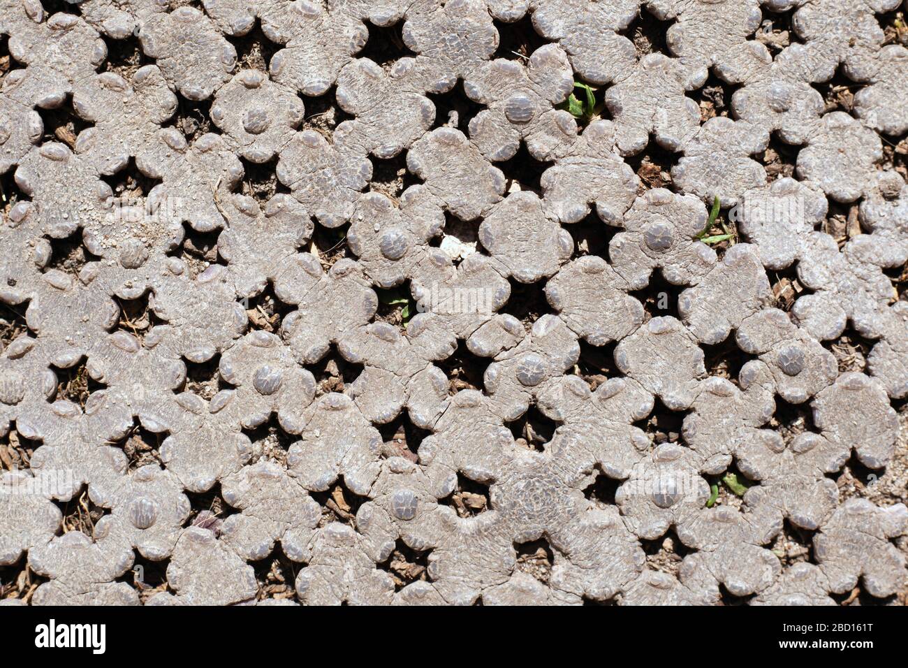 vintage blanc asymétrique abstrait arrière-plan texture de petites étoiles. Banque D'Images
