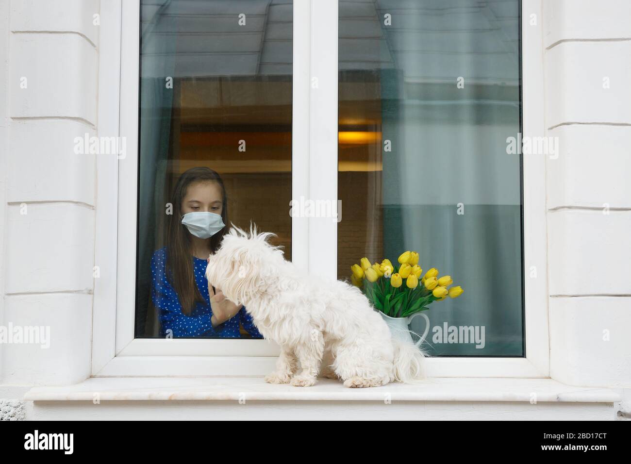 Jeune fille regardant de la fenêtre à son chien d'animal de compagnie Banque D'Images