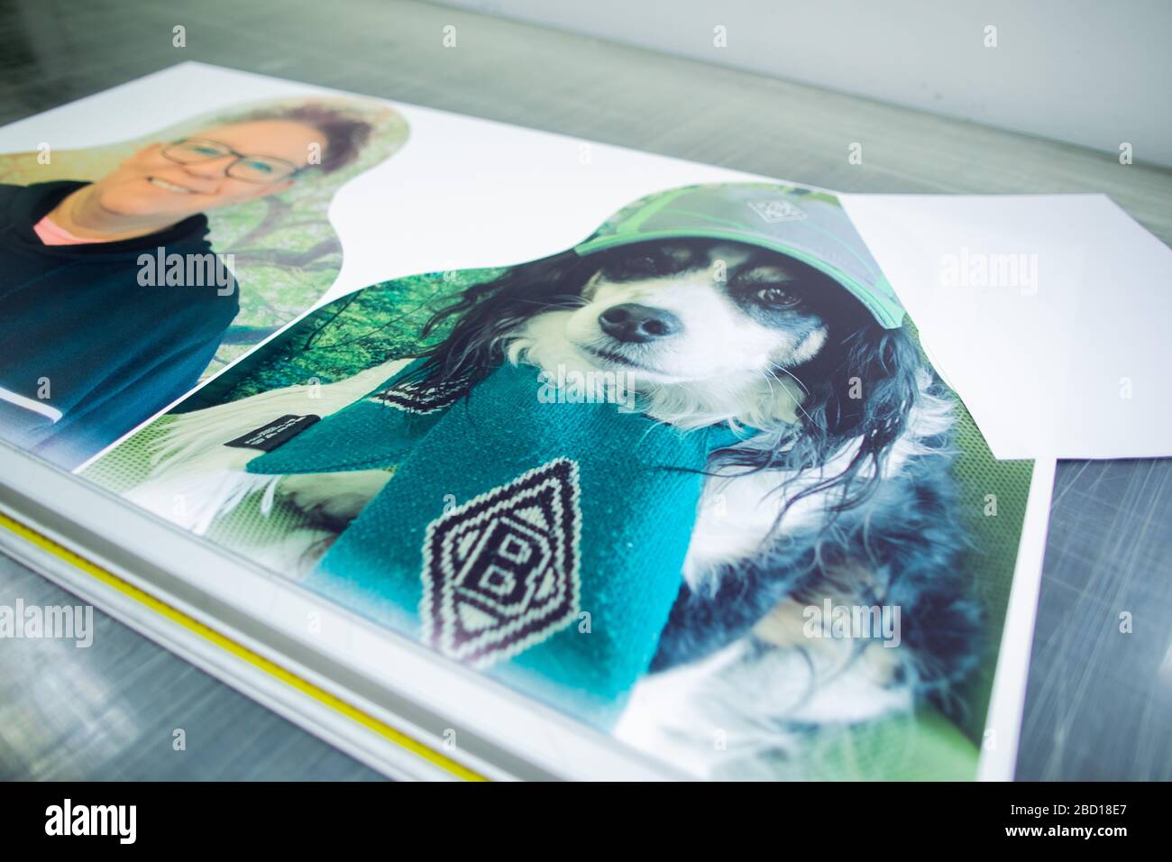 06 avril 2020, Rhénanie-du-Nord-Westphalie, Mönchengladbach: Un test d'impression de deux "comrades de carton" - fans de Borussia Mönchengladbach - , mentent dans une usine d'impression. Les fans de Borussia Mönchengladbach veulent contribuer à une meilleure humeur à des jeux fantômes possibles dans la ligue allemande de football. Afin de permettre aux spectateurs de la télévision et aux professionnels de voir les sièges vides du stade, des figurines en carton présentant la ressemblance des fans doivent être configurées en taille réelle, si vous le souhaitez, là où les spectateurs se tiennent ou s'assoient pendant les jeux normaux. Photo: Rolf Vennenbernd/dpa Banque D'Images